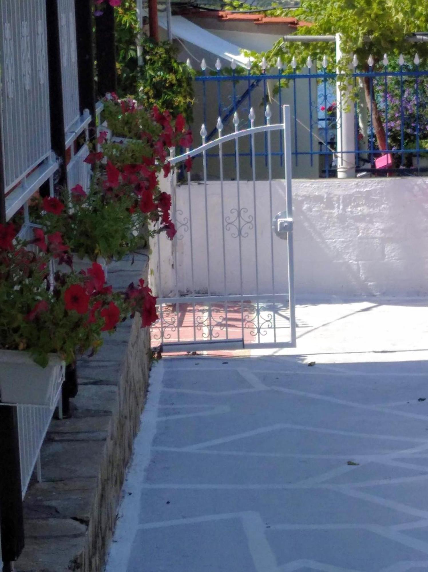Studio Porto Marina Sykia Chalkidikis Ngoại thất bức ảnh