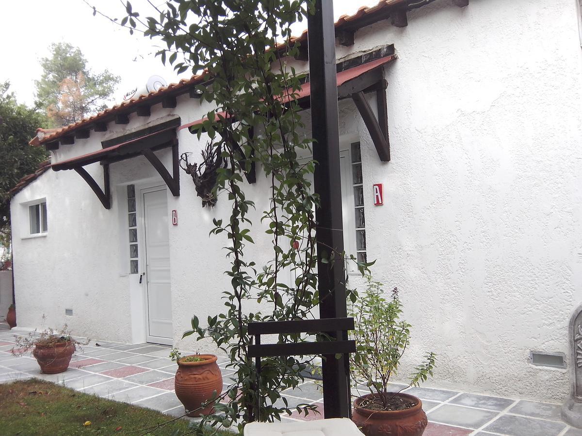 Studio Porto Marina Sykia Chalkidikis Ngoại thất bức ảnh